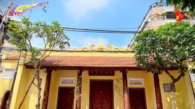 Pferde im vietnamesischen Kulturleben