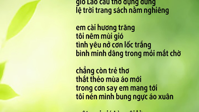 Quynh Xuan