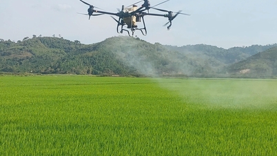 Un pasaporte para los productos agrícolas de Dak Lak.
