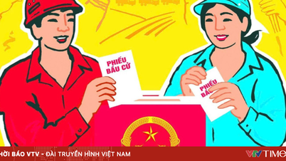 Care este diferența dintre un candidat nominalizat și un candidat auto-nominalizat?