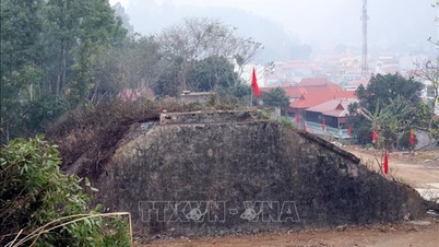 Sempadan di kehijauan kedamaian.