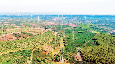 Synkroniser løsninger for energifordeling og -optimalisering.