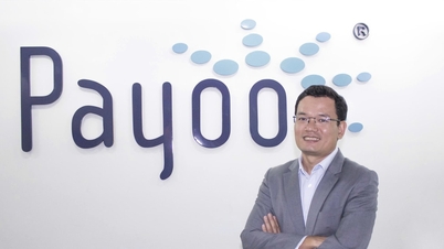 Payoo: Путь, полный преодоления трудностей, к созданию платформы для миллионов транзакций.