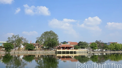 Landet i byn Phung Nguyen