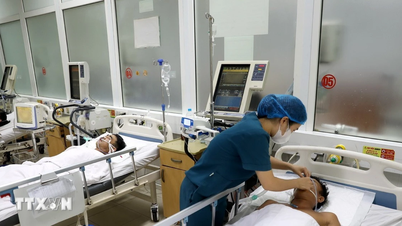 Ca Mau: Három ember szenvedett ételmérgezést a gyanú szerint, miután nem megfelelő típusú tengeri uborkát ettek.