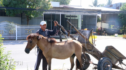 An Giang: Discover the once-famous "capital" of horse-drawn carriages in the Thất Sơn region.