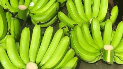 Jakt på enskilda bananer för erbjudanden: Att lägga till ytterligare en banan kan skjuta i höjden på priset för miljontals dong.