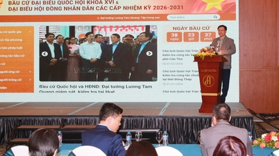 Chuyển đổi số là điểm mới giúp cử tri thuận lợi trong việc theo dõi bầu cử