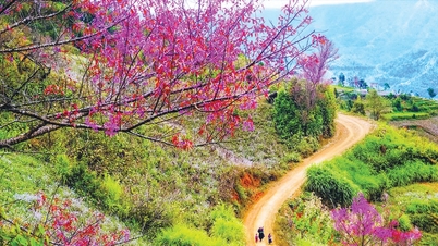 Escute, a primavera está chegando.