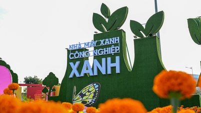 ถนนดอกไม้ฤดูใบไม้ผลิในดงทับสร้างความประทับใจอย่างมากด้วยข้อความสีเขียวที่สื่อถึงความเป็นเมือง