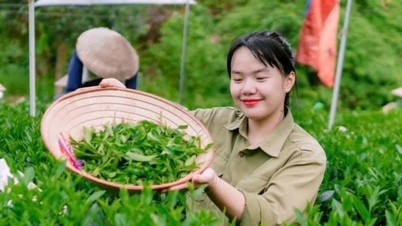 Unga människor i Hanoi blir rika på lokala specialiteter.