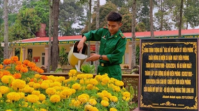 Tempat di mana askar 'terlepas peluang' untuk melihat musim bunga.