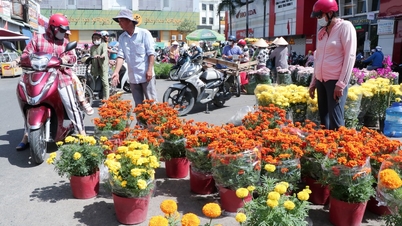O mercado de flores de Tra Vinh está movimentado no último dia do ano.