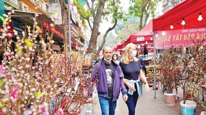 The 2026 Spring Flower Market in the Old Quarter attracted over 30,000 visitors.