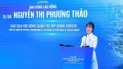 항공 억만장자 Nguyen Thi Phuong Thao의 마크