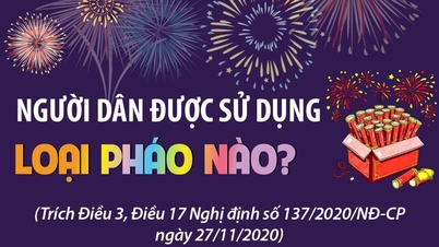 Apakah jenis bunga api yang dibenarkan digunakan semasa Tahun Baru Cina?