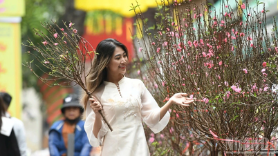O imagine promițătoare pentru turismul din Vietnam în 2026.