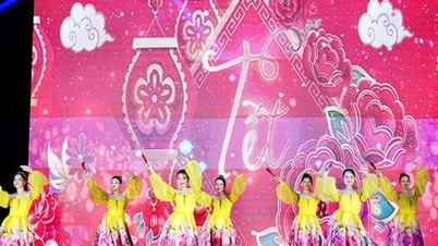 Programe artistice vibrante care sărbătoresc Anul Nou Lunar al Calului (Bính Ngọ) au fost organizate în toată capitala.
