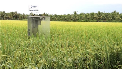 সবুজ কৃষির দিকে অগ্রগতি