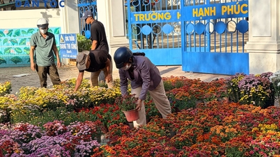 Nha Trang's Tet flower market was quiet on the afternoon of the 29th day of the lunar month.