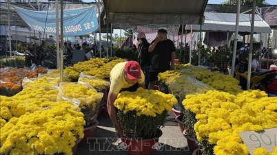 Tanaman hiasan menyaksikan pengurangan harga yang meluas pada petang hari ke-29 Tahun Baru Cina.