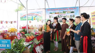 Xây dựng xã Sơn Thủy phát triển nhanh, bền vững