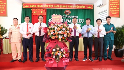 Sức sống mới Bạch Đích