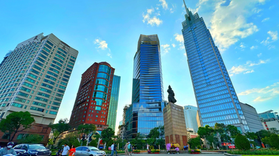 En la tarde del día 29 del mes lunar, admire las calles del centro de la ciudad de Ho Chi Minh antes de la víspera de Año Nuevo del Año del Caballo.