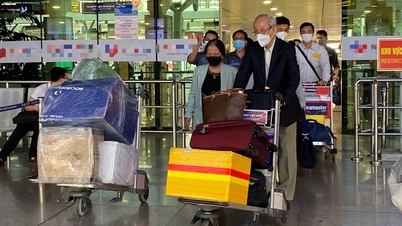 În timpul Tet (Anul Nou vietnamez), există multe călătorii și adunări mari: Avertisment privind riscul de infecții respiratorii.
