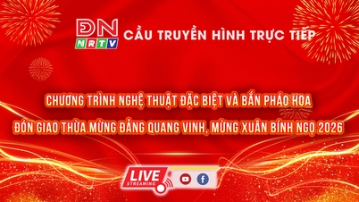 กิจกรรมศิลปะพิเศษและการแสดงดอกไม้ไฟเพื่อเฉลิมฉลองเทศกาลอันยิ่งใหญ่และปีใหม่ตามปฏิทินจันทรคติปีม้า 2026