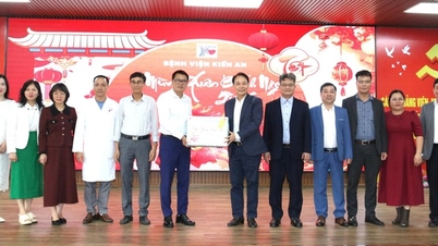Los líderes del Departamento de Salud de Hai Phong visitaron y entregaron obsequios a las unidades de atención médica con motivo del Año Nuevo Lunar 2026 (Año del Caballo).