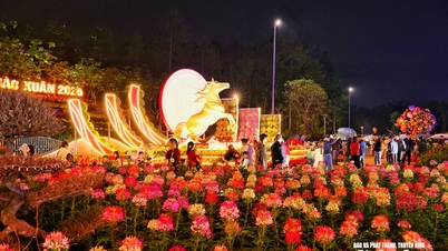 People in Nghe An province poured into the streets to welcome the Lunar New Year of the Horse.