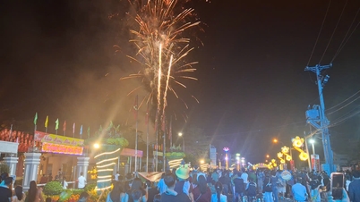 Fogos de artifício iluminam o céu sobre Dong Nai para dar as boas-vindas ao Ano do Cavalo.