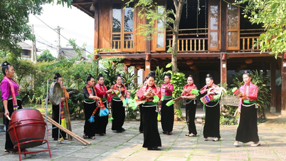 Primavera em Muong Lo