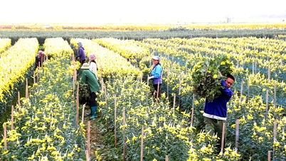 توقعات الطقس لمدينة نغي آن في 17 فبراير (أول أيام عيد رأس السنة الفيتنامية): سطوع شمس ضعيف خلال النهار، مع هطول أمطار في المساء والليل.