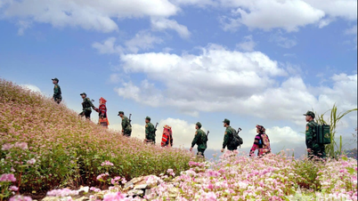 Le Printemps des soldats