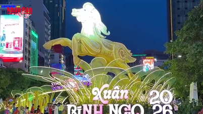 [Video] Nguyen Hue Flower Street forblir åpen til den 6. dagen i Tet, hovedutstillingen vil være utstilt til 22. mars.