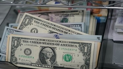 سعر صرف الدولار الأمريكي اليوم (17 فبراير): يبقى الدولار الأمريكي مستقراً بينما يدرس المتداولون توقعات أسعار الفائدة.