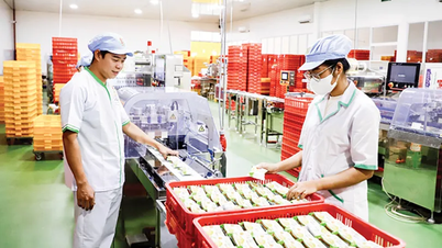 Application de la technologie - expansion de la production