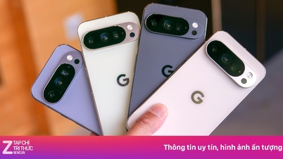 Google กำลังรับสมัครวิศวกรชาวเวียดนามจำนวนมาก