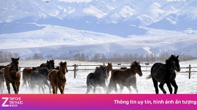 Chinese 'heavenly horses' gallop to welcome the new year.