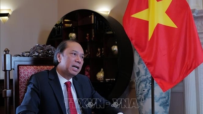 Vietnam bekräftar sitt internationella ansvar vid Gazas fredsråd.