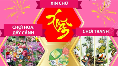ការកម្សាន្តដ៏ប្រណិតក្នុងឱកាសបុណ្យចូលឆ្នាំចិន