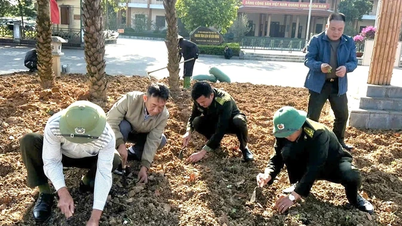 Festival de Plantio de Árvores - Semeando sementes verdes, construindo nossa pátria