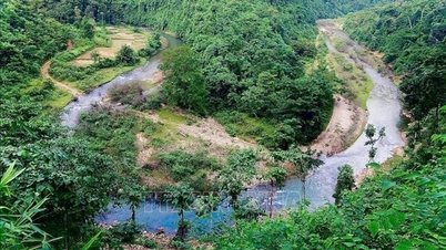 Jardín Botánico Exterior Pu Huong: Un "museo viviente" de especies de plantas tropicales