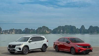Najnowsze ceny modelu Honda BR-V 2026: 50% zniżki na opłaty rejestracyjne w lutym 2026 r.