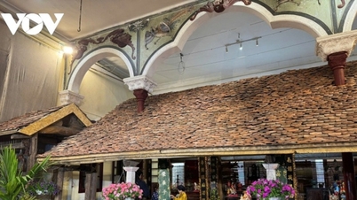 Tet Binh Ngo 2026: Livfulla vårresmål från Hanoi till landets alla hörn.