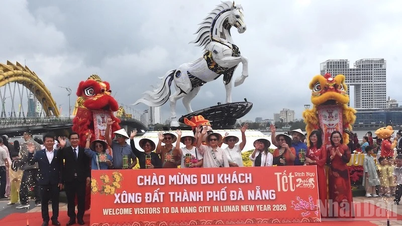Da Nang da la bienvenida a sus primeros visitantes internacionales para comenzar el nuevo año.