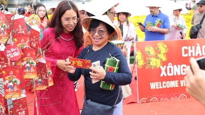 Da Nang da la bienvenida con alegría a los primeros turistas del año, el Año del Caballo 2026.