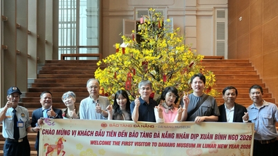 Le musée de Da Nang accueille simultanément des visiteurs internationaux pour célébrer le nouvel an.